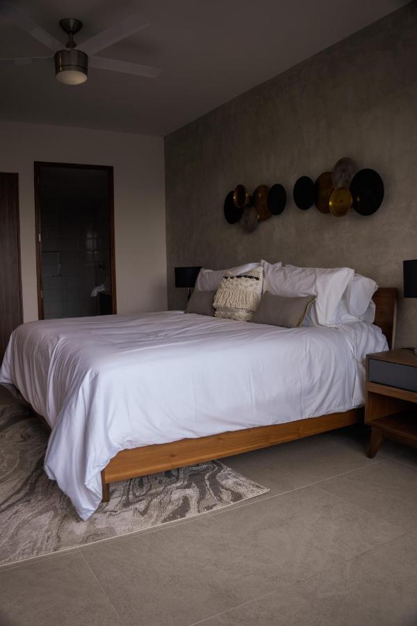 Fancy 3 Bedroom Apartments In Downtown Playa Rooftop Pool Gym بلايا ديل كارمن المظهر الخارجي الصورة
